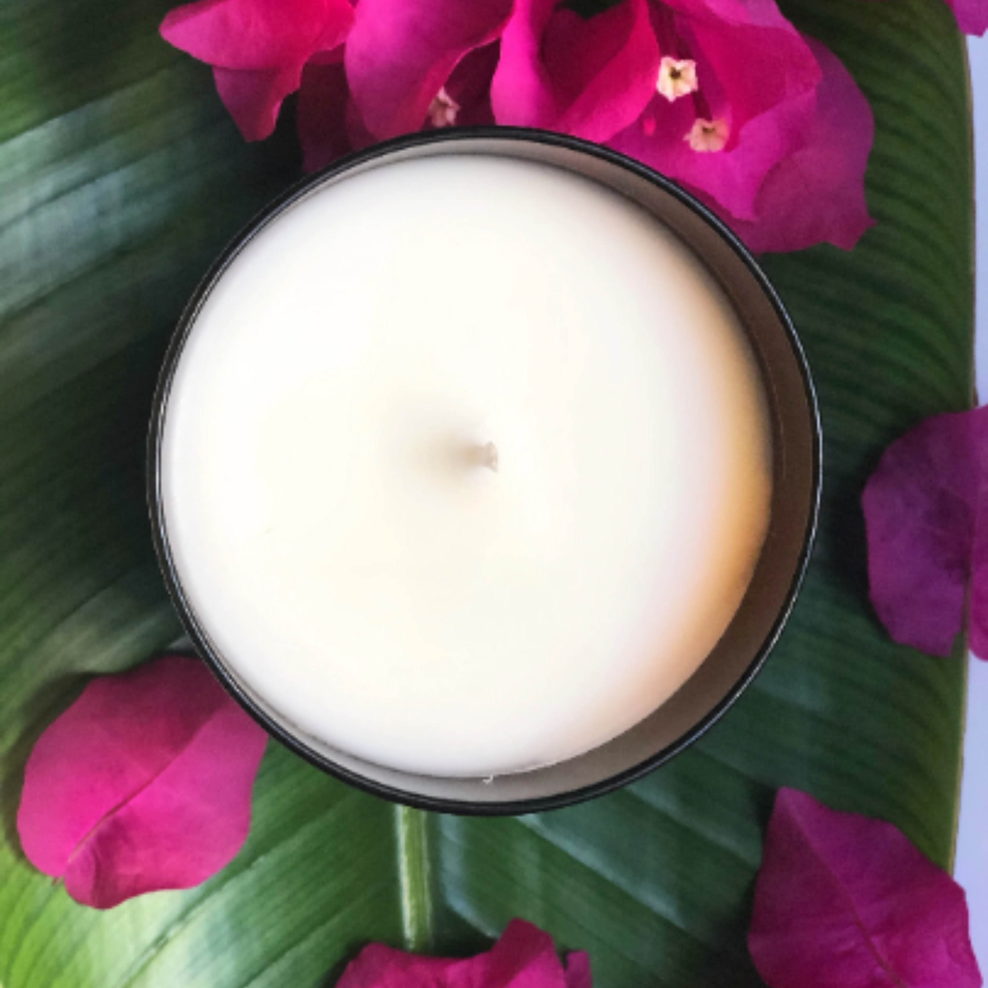 Essence Home Miami - Wholesale Jar/Filled Candle - Pan con Mantequilla2