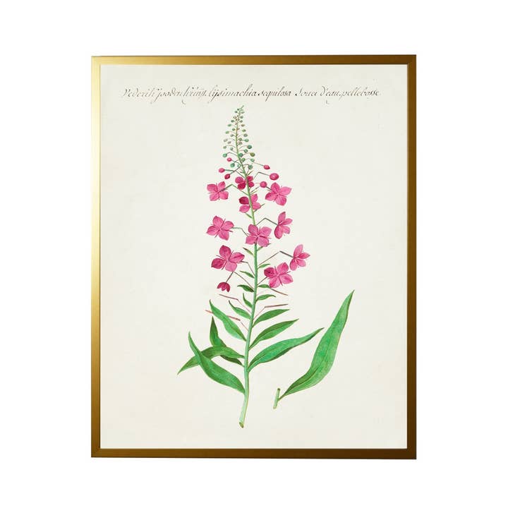 Vintage Bookplate With Pink Flowers for wholesale by Antique Curiosities Inc