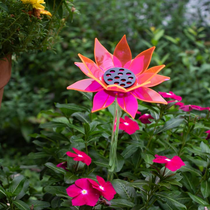 Neon Pink Sunflower | Gift flower decor for wholesale by The Colored Petal
