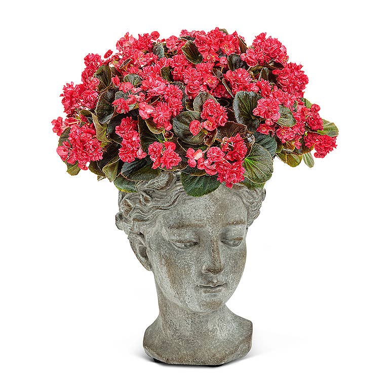 Abbott - Wholesale Plant Pot - Women Head Planter11