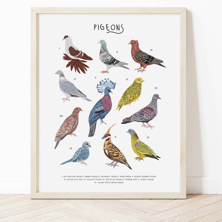 Stampa di piccioni per la vendita all'ingrosso da parte di Bea Baranowska Illustration