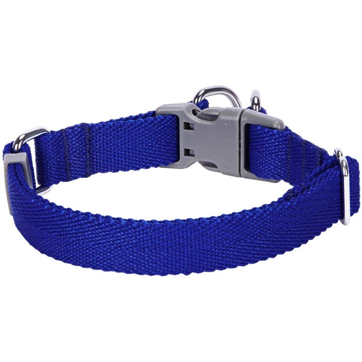 Blueberry Pet - Wholesale Pet collar – Dog - Best-Seller Double D-Ring Dog Collar -Must-Have for All Dogs78