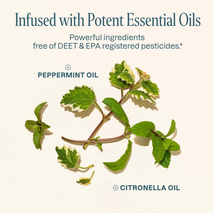 Cliganic - Wholesale Insect Repellent - Mosquito Repellent Patches - Adventure2