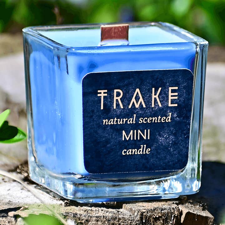 Mirtilo e Baunilha, Mini Vela aromática frutada doce por atacado de TRAKE