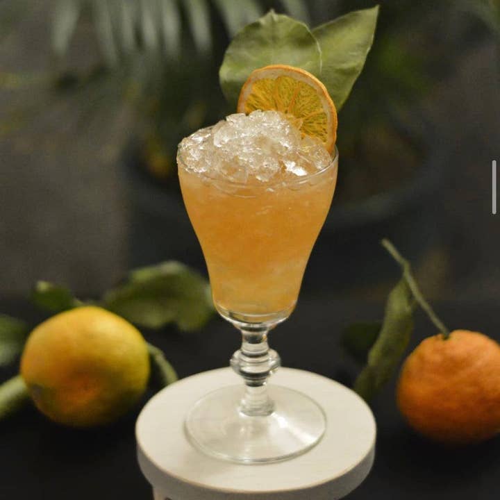 Cocktail Garnish Co. - Wholesale Dried/Dehydrated Fruit - Dehydrated Orange Garnish, 3oz (30+ Slices)2