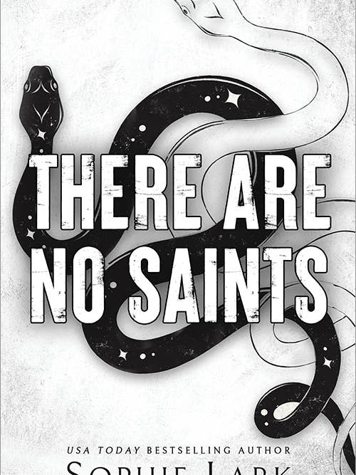 There Are No Saints for wholesale by Sourcebooks