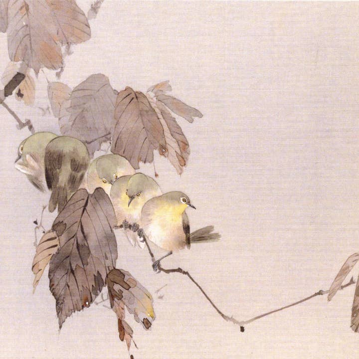 CATCH 12X12 CARTES DOUBLES NC 36470 (A) pour la vente par Phenicia