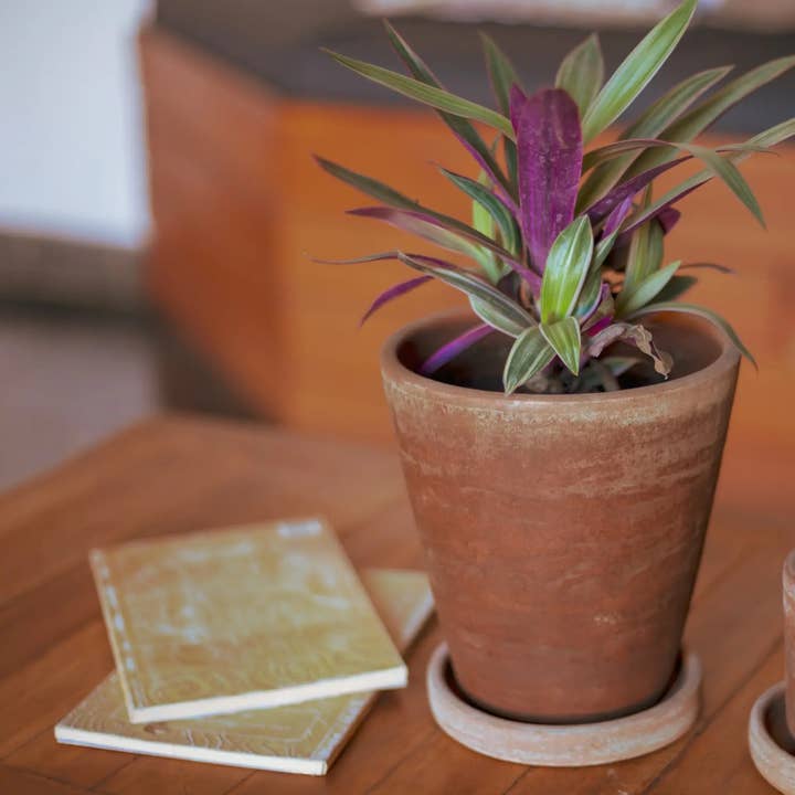 Concrete-washed Terracotta Planter (Medium) for wholesale by Women of the Cloud Forest