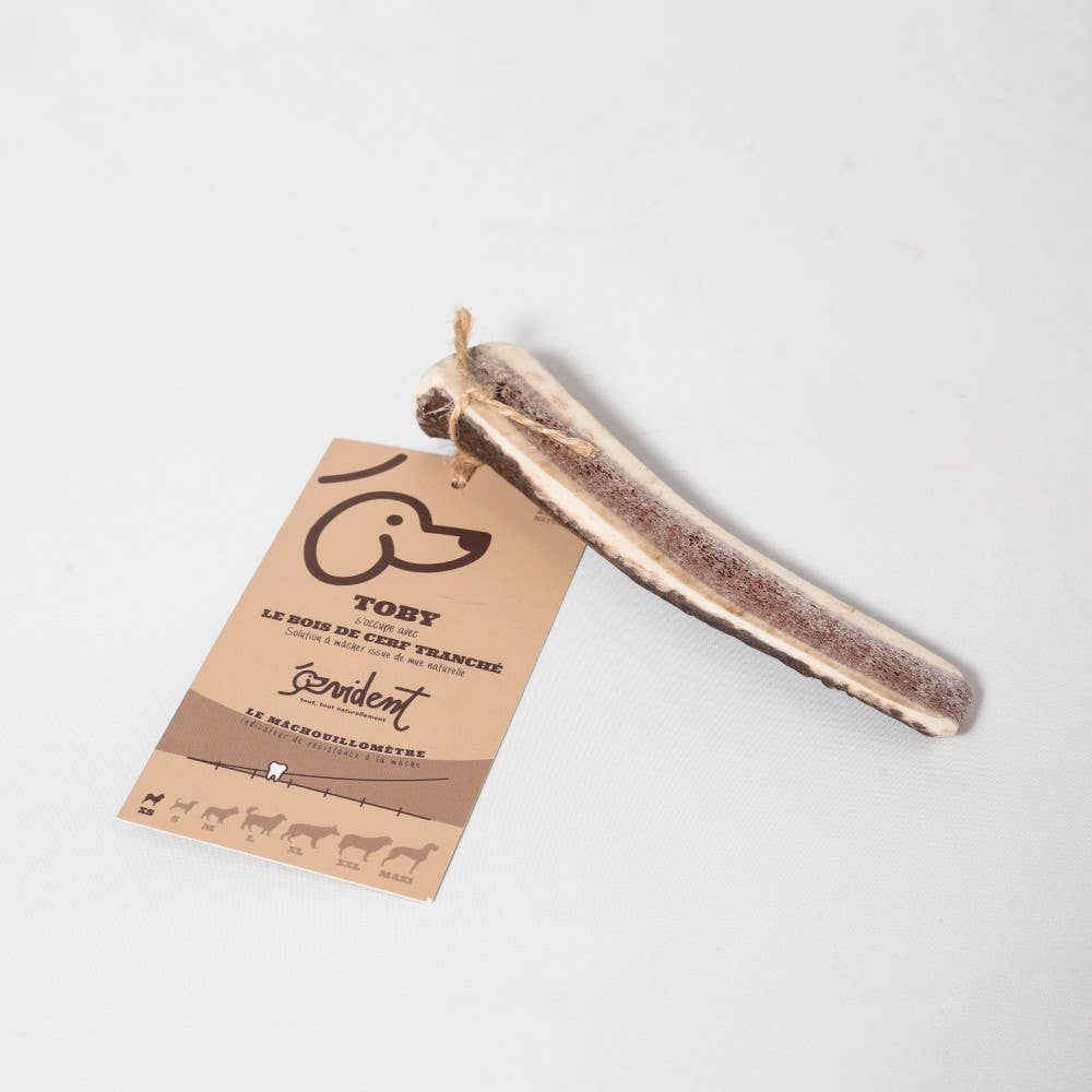 Evident - Wholesale Pet Bone/Rawhide - Dog - TOBY - Sliced deer antler to chew for dogs2