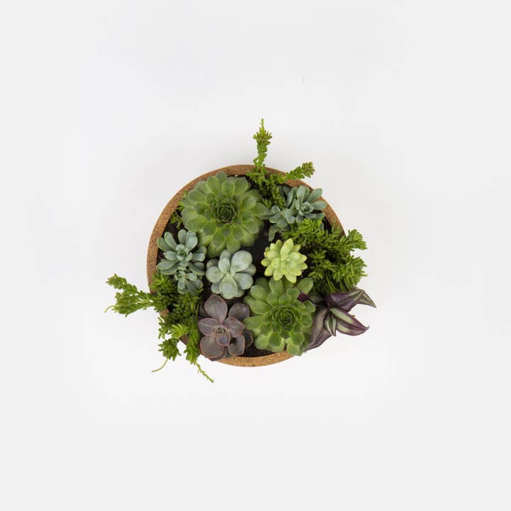 Indoor plant pot - XL for wholesale by Minimal Cork