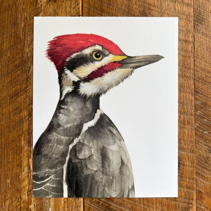 Pileated Woodpecker - Watercolor Art Print, 8x10 inches for wholesale by Amy Shawley Paquette