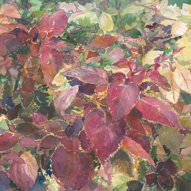 Emperor's New Clothes Season's Greetings for wholesale by Givinity Press