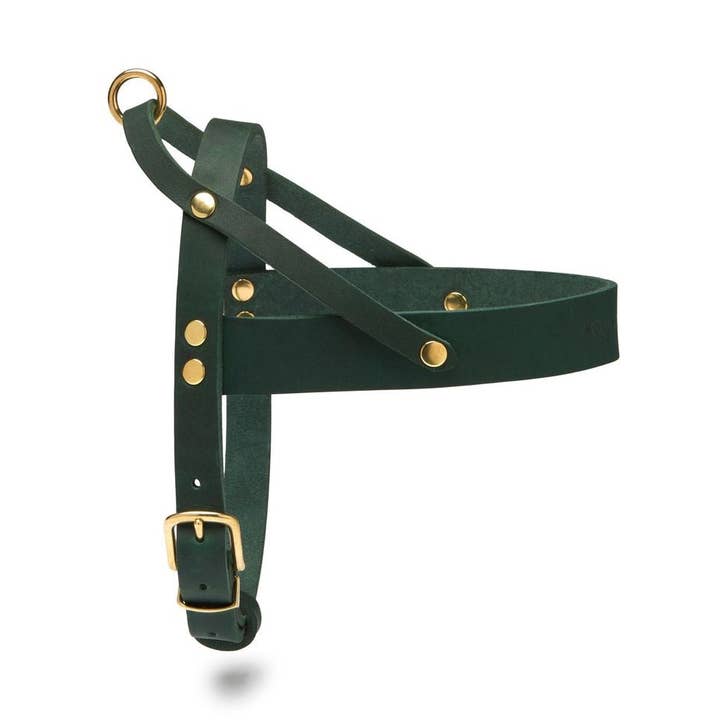 Harnais pour chien Butter Leather - Forest Green pour la vente par Molly and Stitch