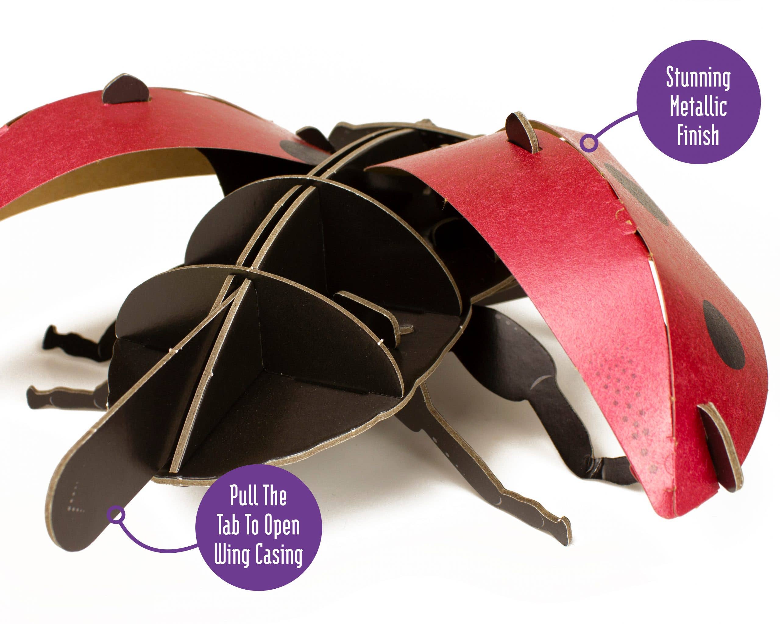 Build Your Own - Wholesale DIY Craft Kit - Kids - Build Your Own Ladybird - Eco-Friendly Cardboard Craft Kit4