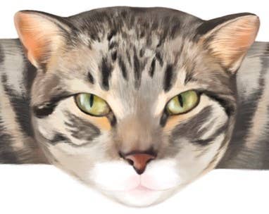 Hug-a-BooBoo - Wholesale Bandaids/Bandages - Hug-a-BooBoo "Hugging Paws" Premium CAT Bandages 24ct Box7