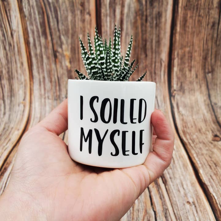 Blooms n rooms - Wholesale Plant Pot - Punny Plant Pots
