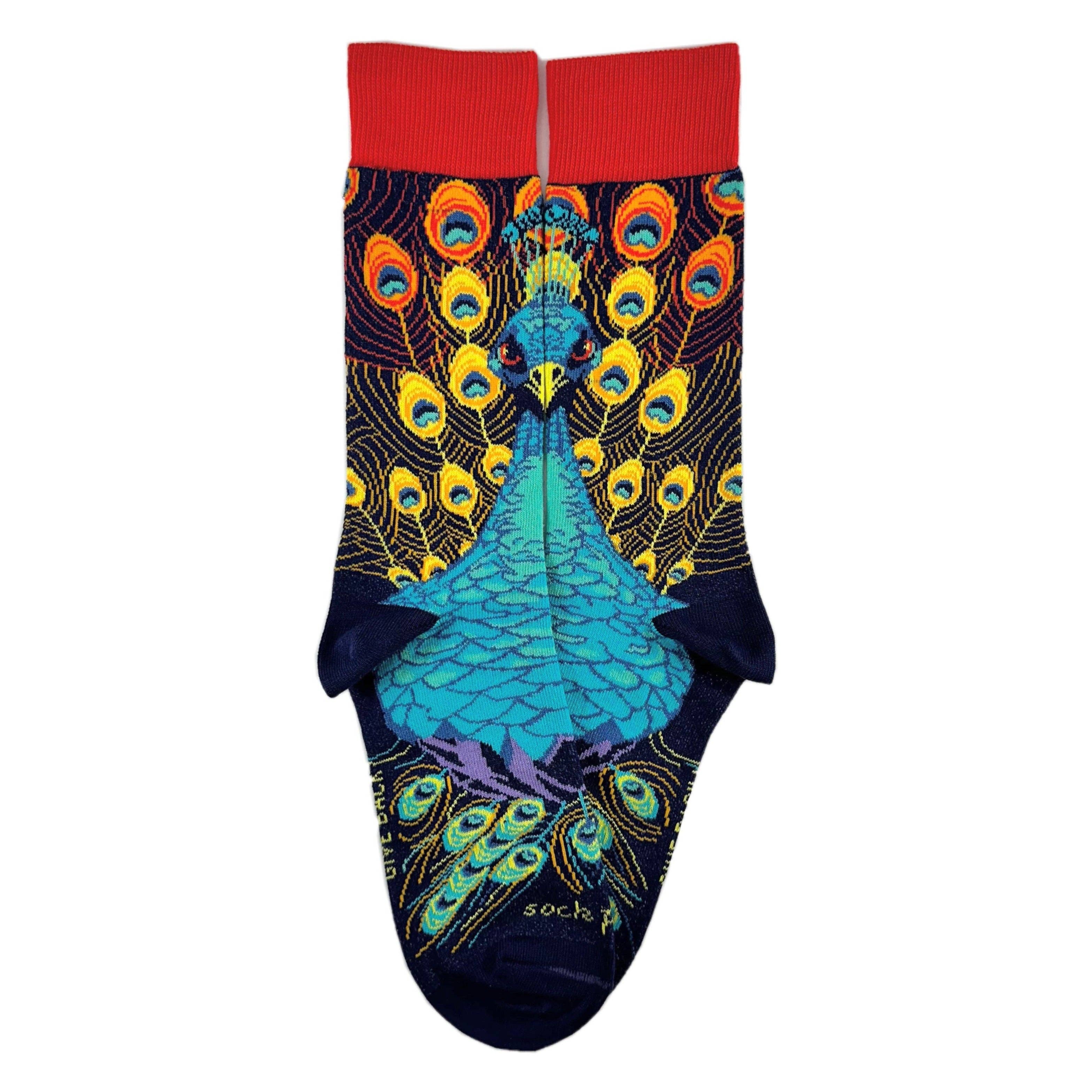 Sock Panda - Wholesale Socks - Women's - Magnificent Peacock Socks from the Sock Panda (Adult Medium - Women's Shoe Sizes 5-10)3