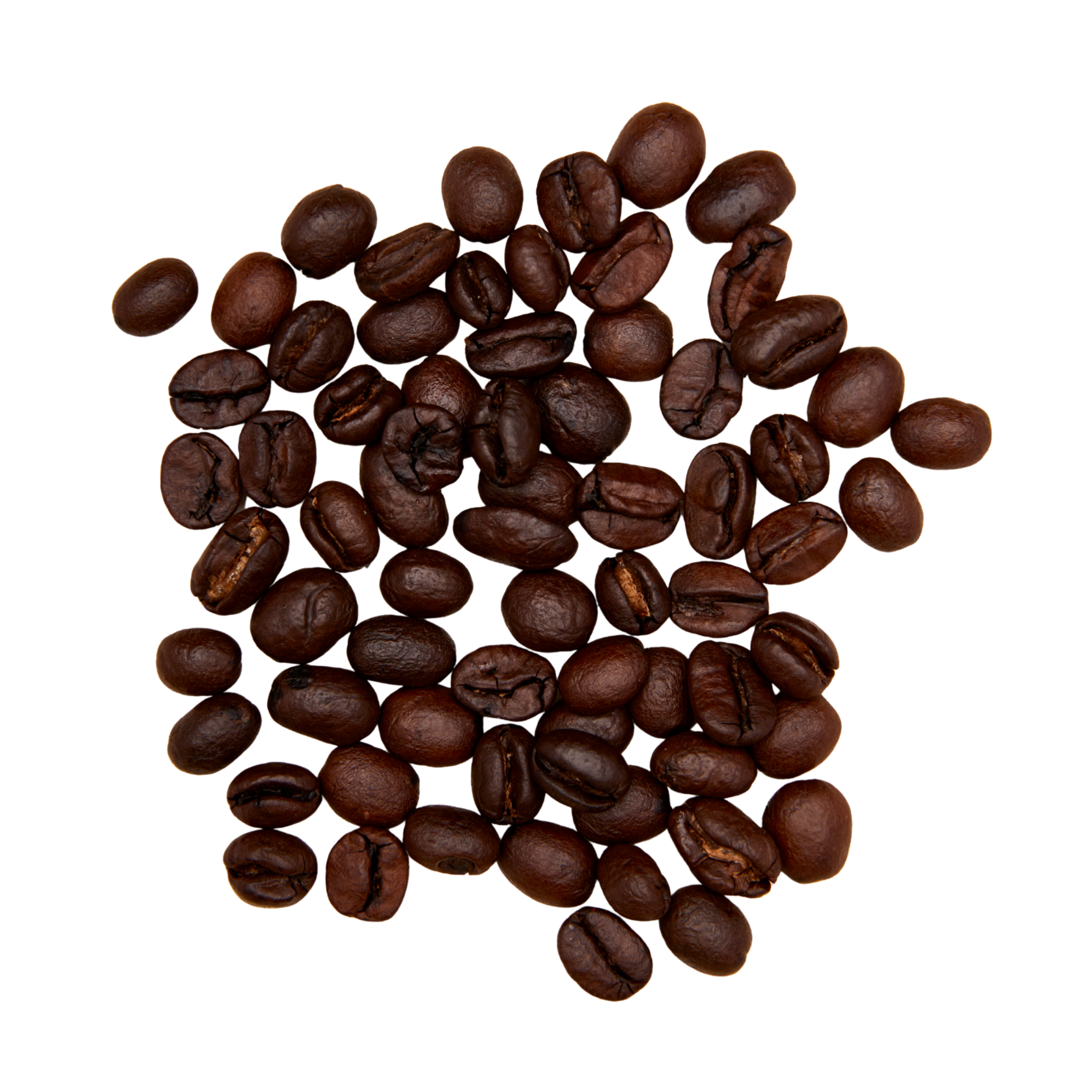 Kahawa 1893 - Wholesale Coffee Beans - Serengeti Blend (Wholesale)2