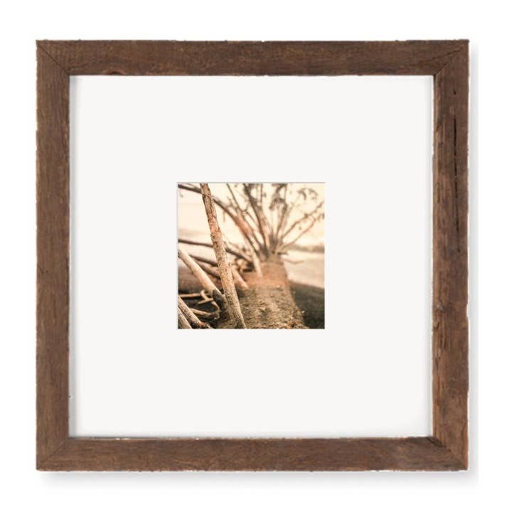 Driftwood Rialto Beach Analogs — 10x10 Framed Print for wholesale by The Studio
