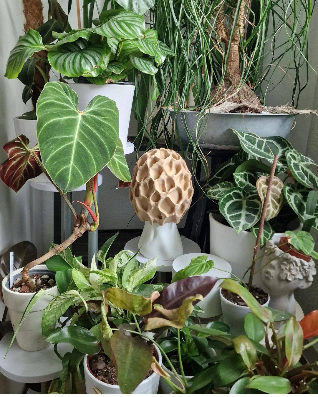 Roomberry - Wholesale Accent/Desk Lamp - Morel Mushroom Lamp - natural mushroom design, soft evening light2