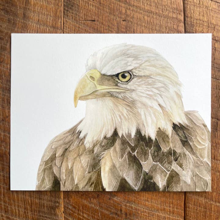 Bald Eagle - Watercolor Art Print, 8x10 inches for wholesale by Amy Shawley Paquette