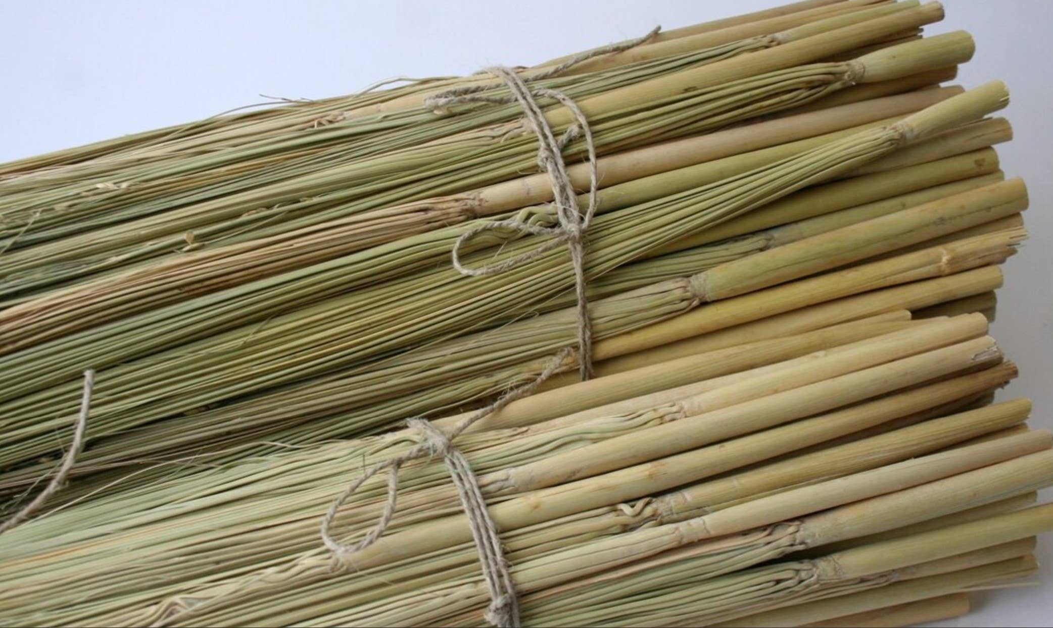 Parker Homestead - Wholesale Craft Supplies - Craft Broom Corn4