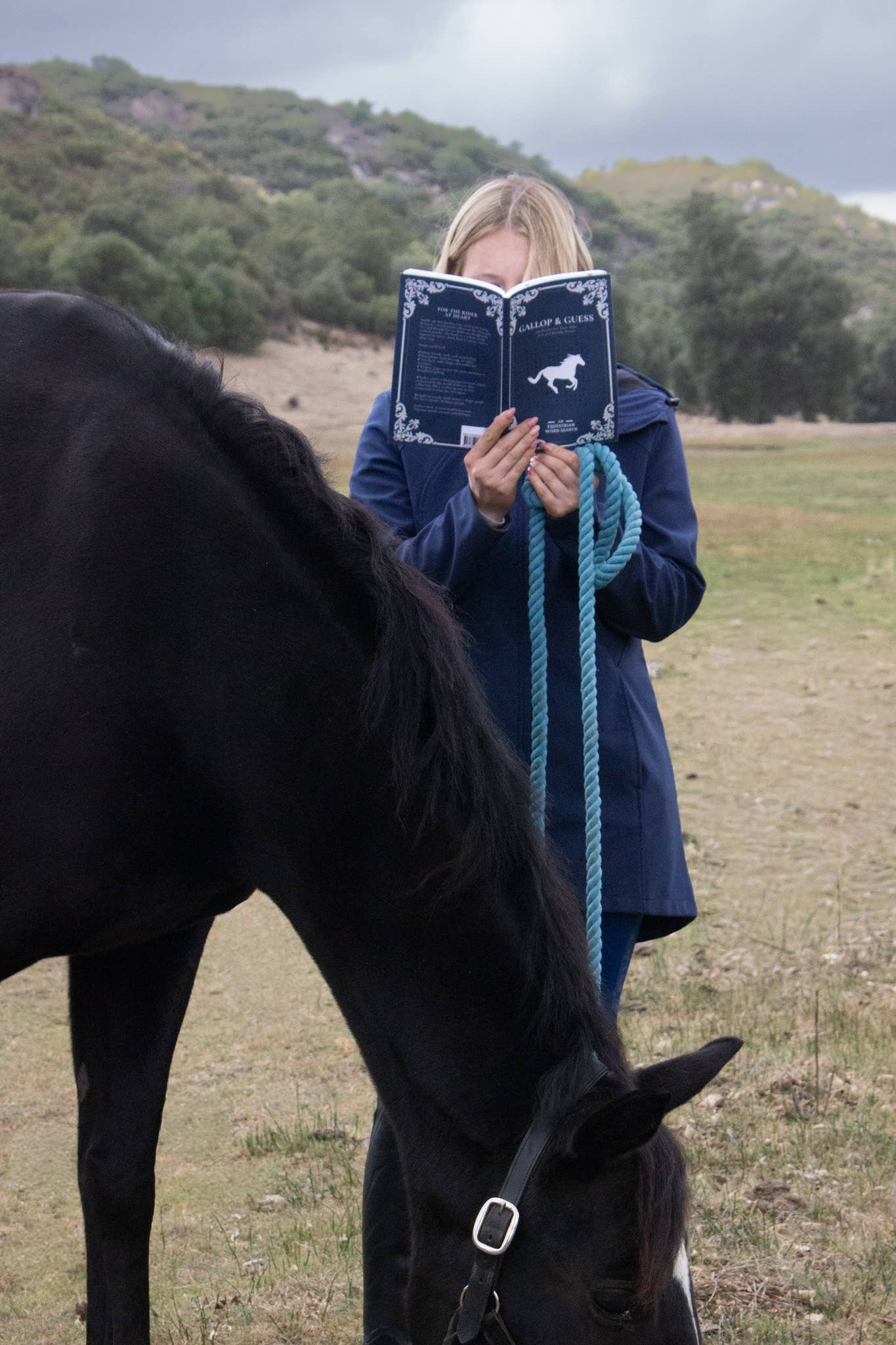 Stäbl Notes - Wholesale Coloring & Activity Book - Adult - Horse Word Search:100 Equestrian Word Searches3