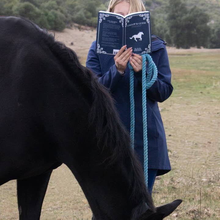 Stäbl Notes - Wholesale Coloring & Activity Book - Adult - Horse Word Search:100 Equestrian Word Searches3