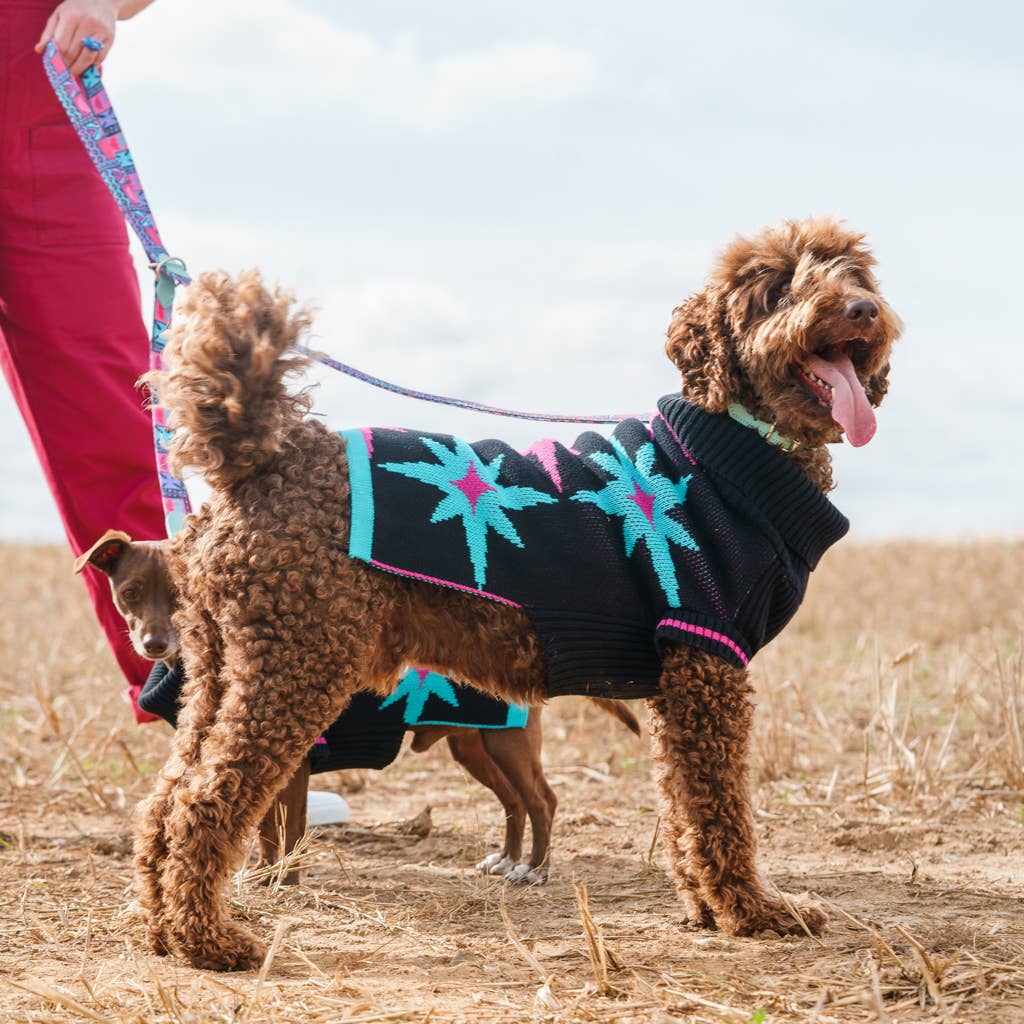 Hiro + Wolf – wholesale Pet jumper – Dog – 'Starry Night' Dog Jumper3