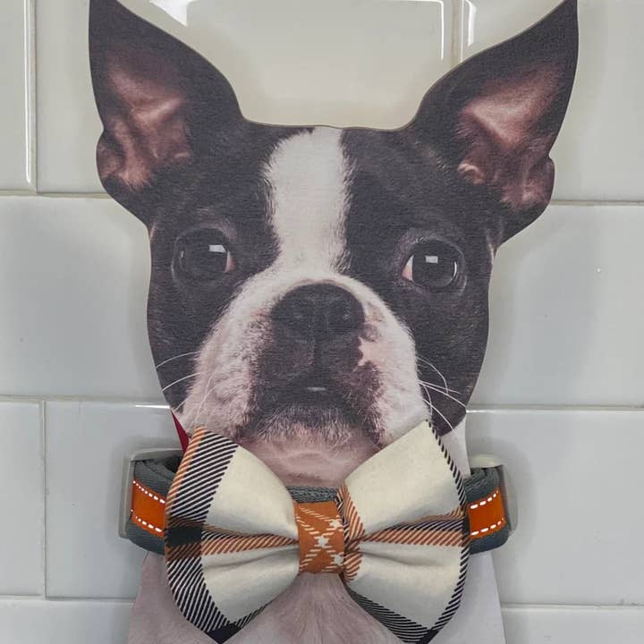 Swanky Pawz - Vendita all'ingrosso Papillon - Cani - Papillon a collare per cani, papillon slip on, papillon scozzese2