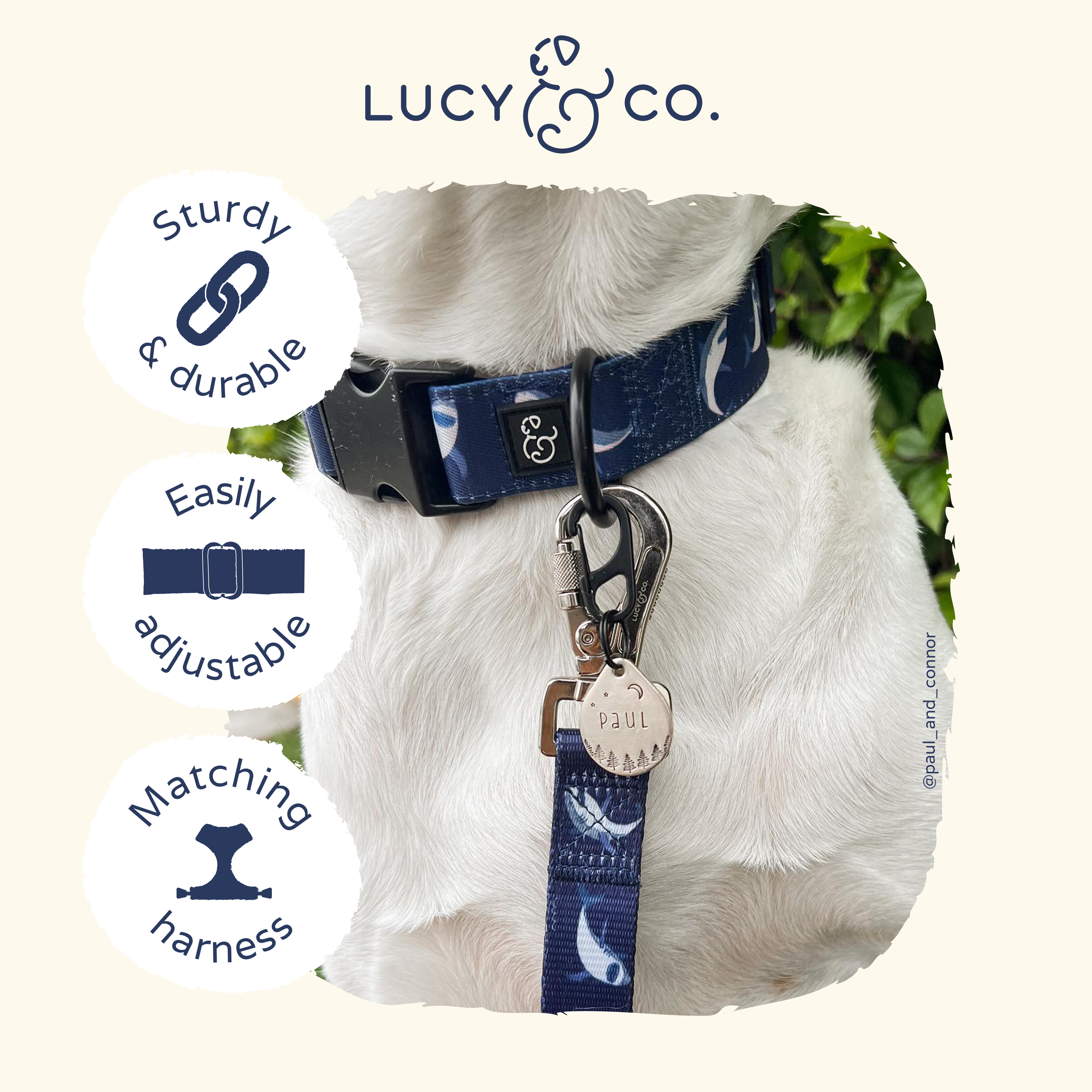 Lucy & Co. – Großhandel Haustierhalsband – Hund – Haifisch-Attack-K4
