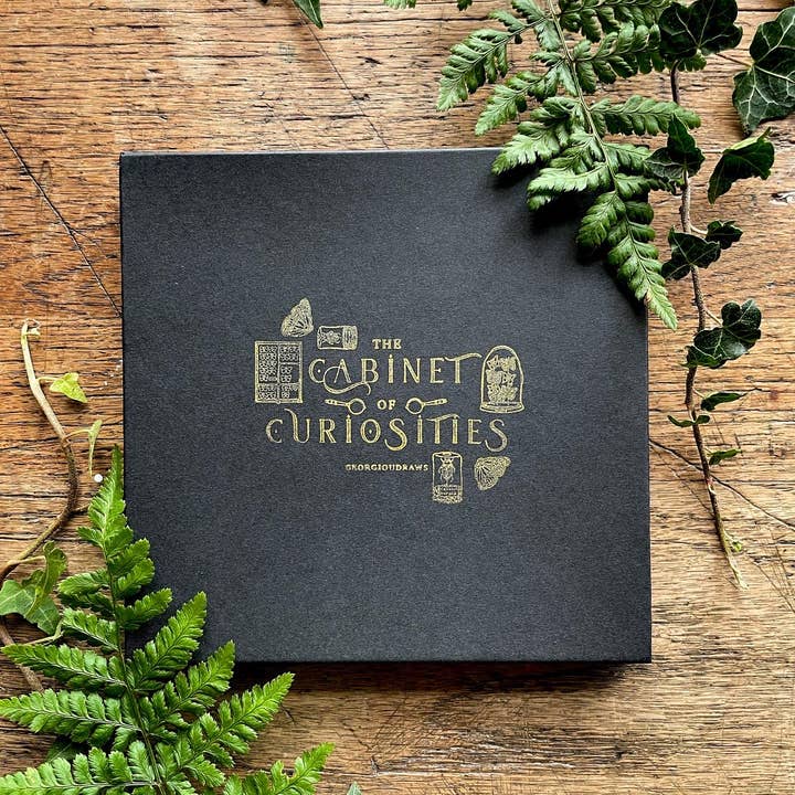 Georgiou Draws - Wholesale Lapel Pin/Button - Cabinet of Curiosities Entomology Luxury Enamel Pin Box Set