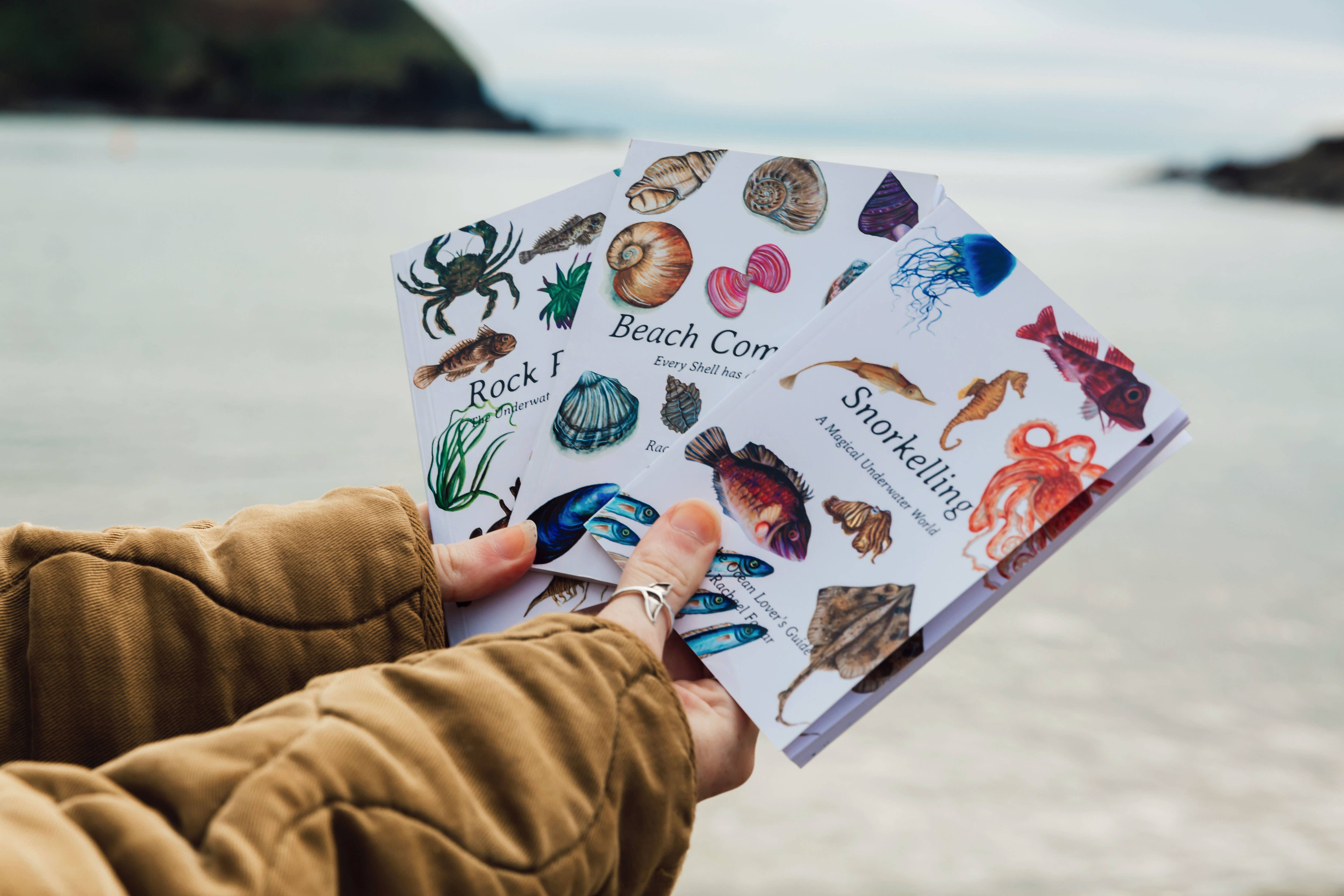 Rachael Farrar Artist – wholesale Nature and outdoors – Beach Combing Pocket Guide4