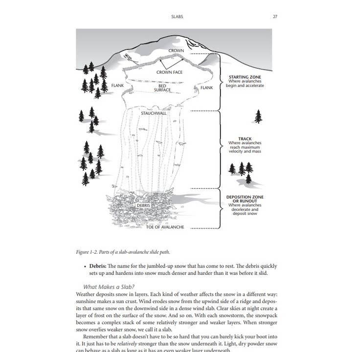 Mountaineers Books - Wholesale Nature & Outdoors - Staying Alive in Avalanche Terrain, 3rd Edition4