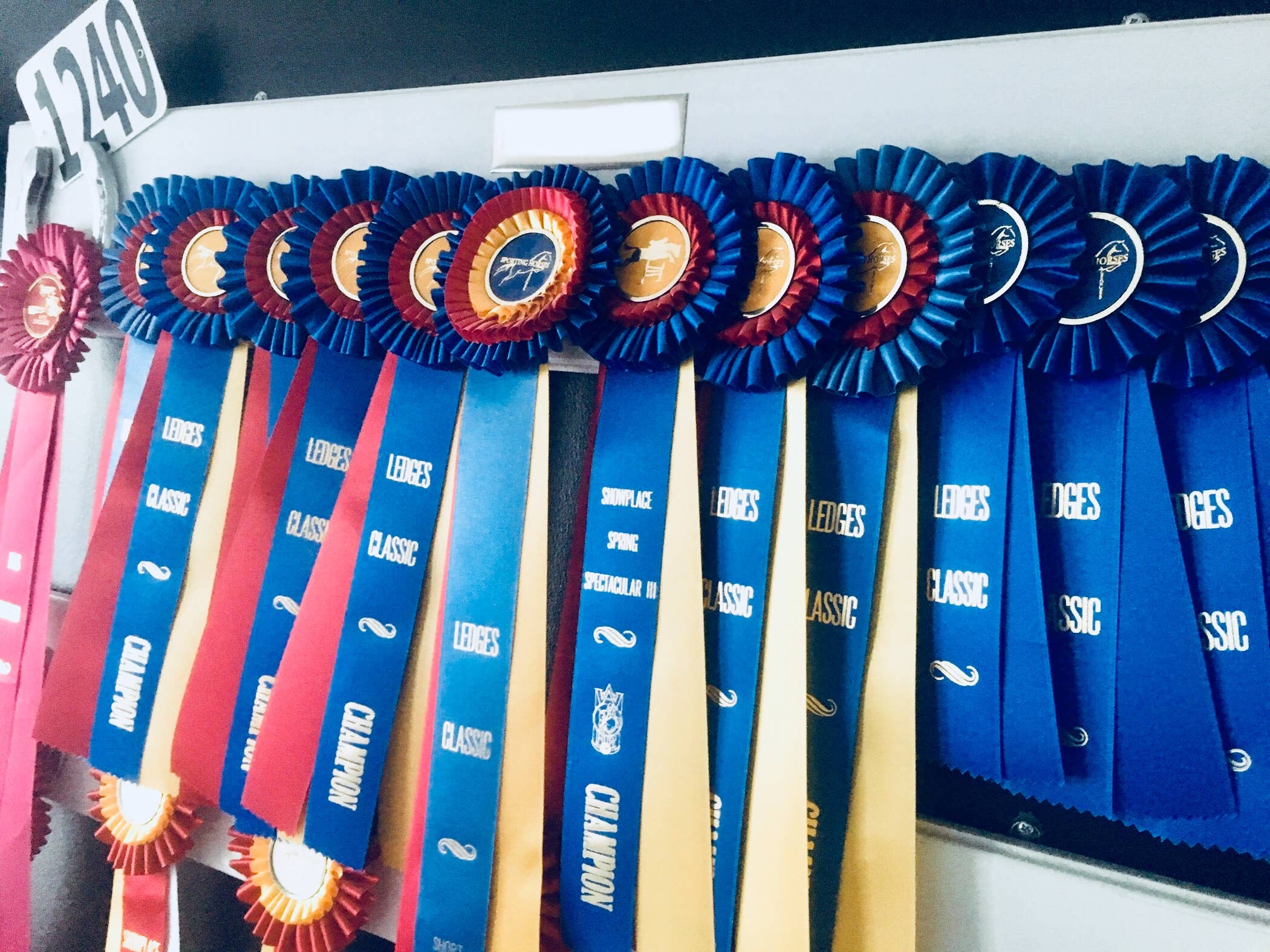 The Infused Equestrian – Prateleira de exposição por atacado – O rack de fita infundido1