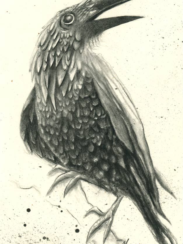 Impression d'art de Belinda pour la vente par The Rots