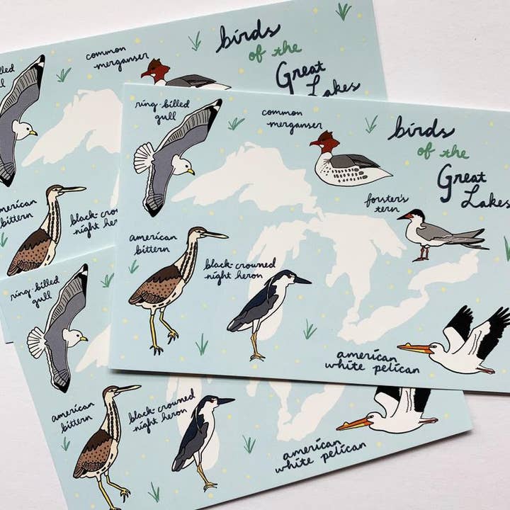 Made by Nilina - Wholesale Postcard - Great Lakes Birds Postcard - Ohio, Michigan Souvenir1