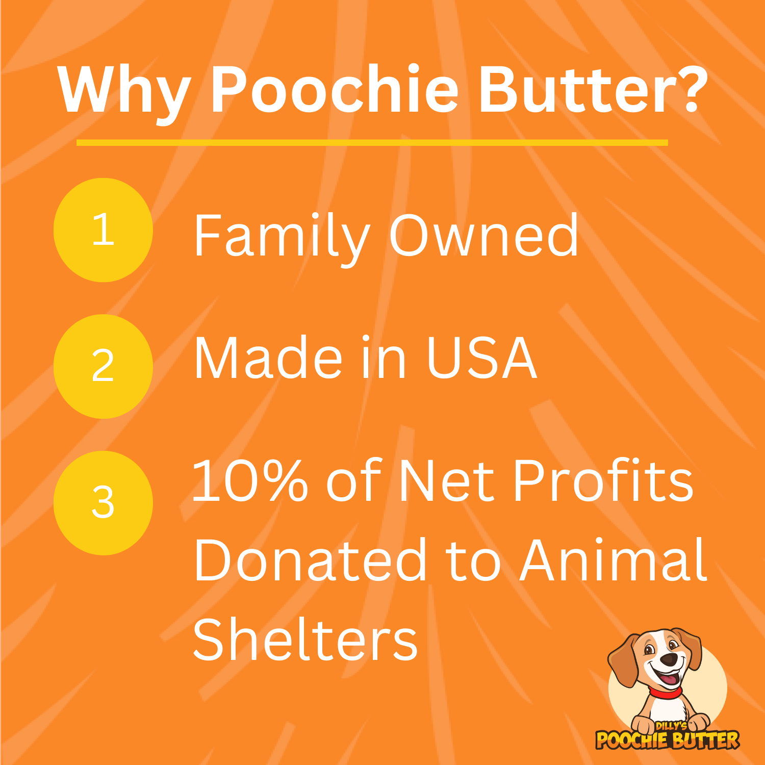 Poochie Butter - Wholesale Pet Treats - Dog - Beef Femur Dog Bone with Real Peanut Butter5