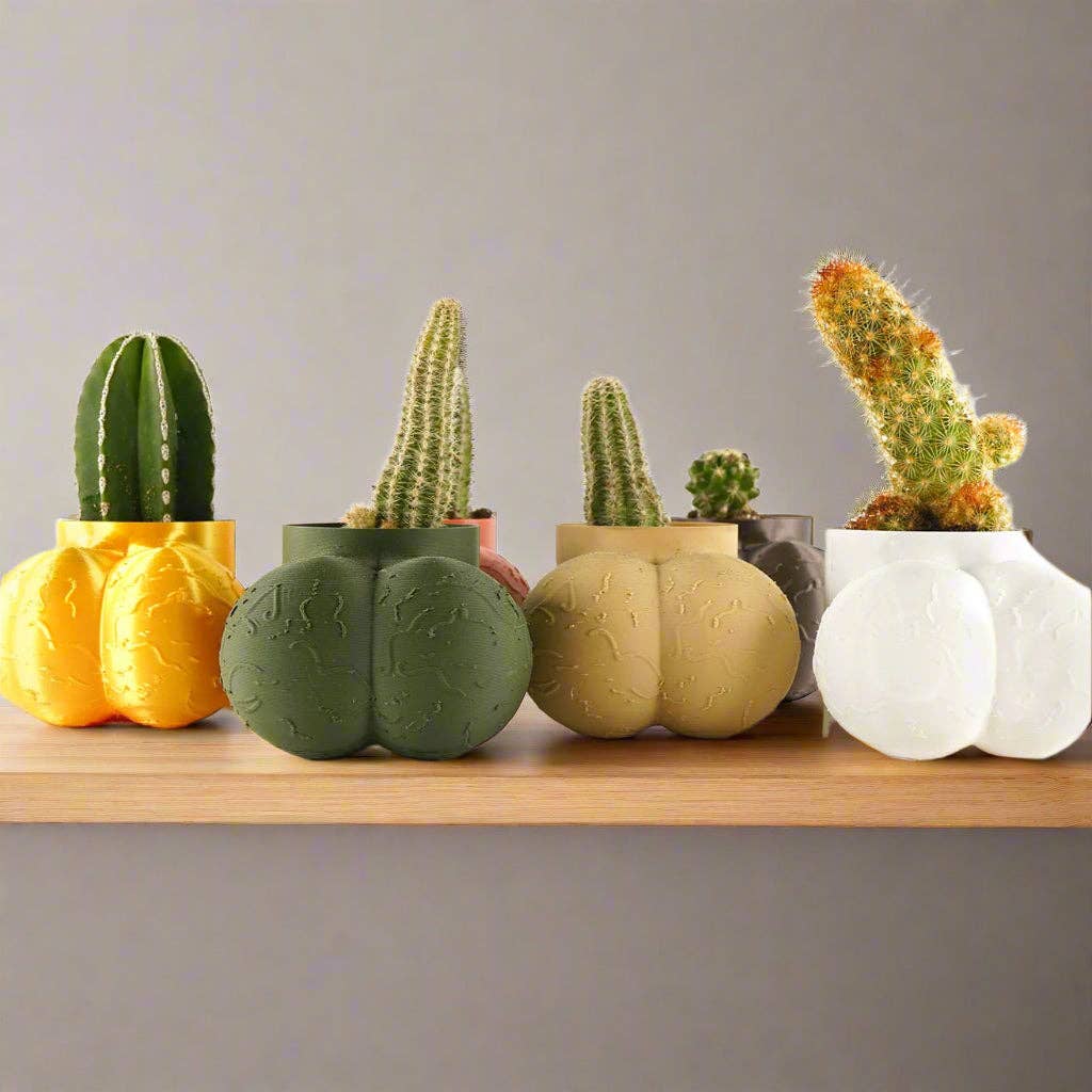 Rosebud Homegoods - Wholesale Plant Pot - Sir Richard Plant Pot, Optional Cactus0