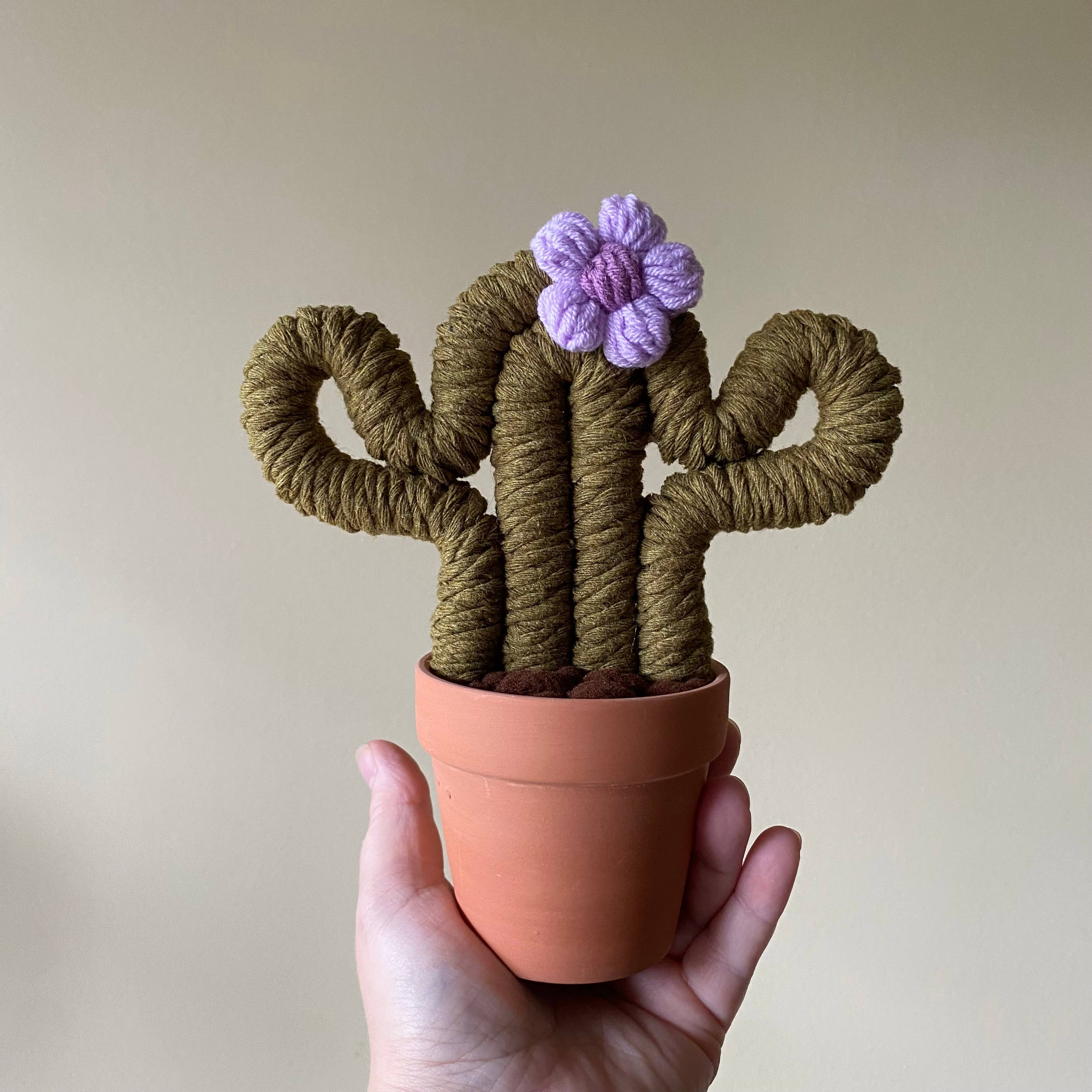 ForgetBKnot - Vente Plantes artificielles - Plante Éternelle Cactus en Macramé (Moyen & Petit)7