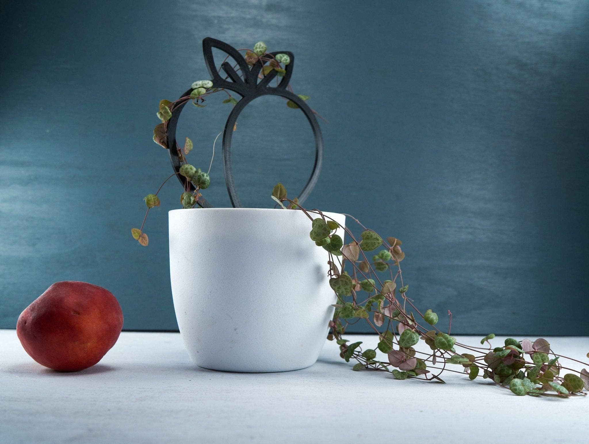 Rosebud Homegoods - Wholesale Trellis - Peach Plant Trellis for Vining Plants9