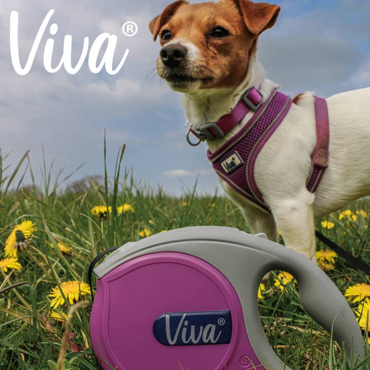 Ancol Pet Products Ltd - Wholesale Pet Leash - Dog - Viva Retractable Lead LARGE6