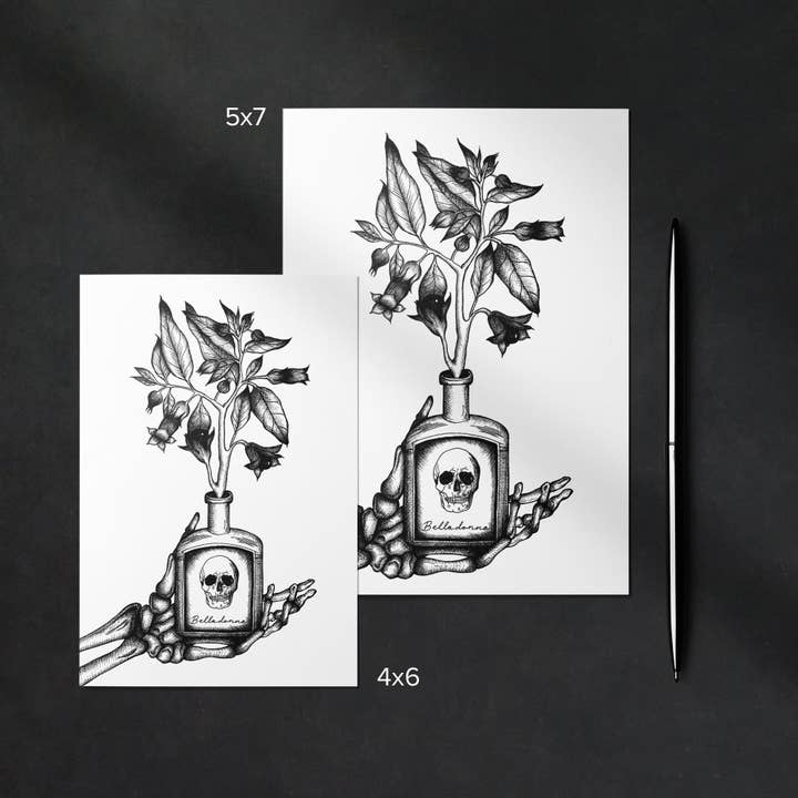 Print is Dead - Wholesale Everyday Greeting Card - Belladonna - Greeting Card3