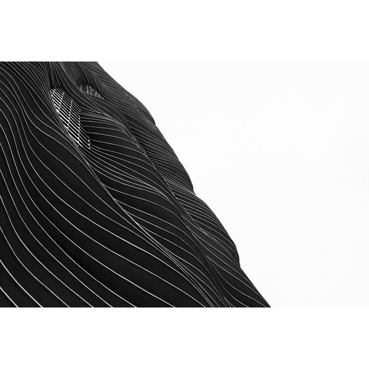 Living the Life Aswirl Fine Art Print for wholesale by Christi Kraft Photography