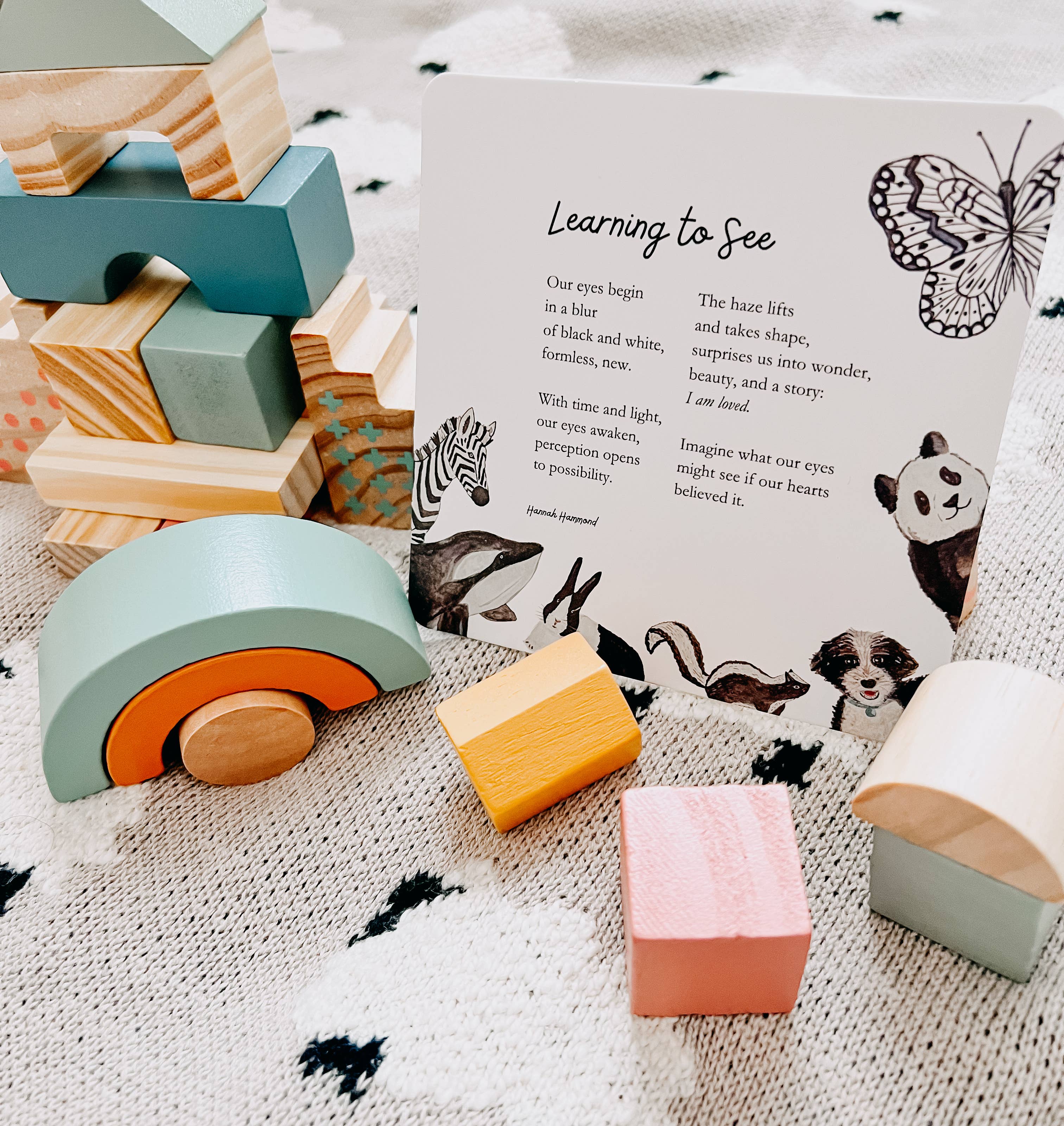 Milliemark - Wholesale Learning Cards - Kids & Baby - Art Cards for Baby5