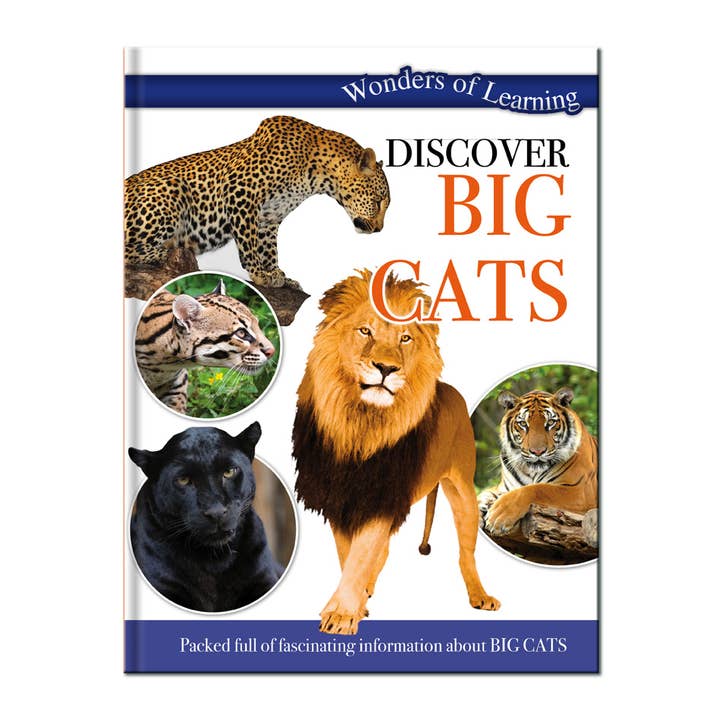 Discover Big Cats - Libro para niños para venta al por mayor de Robert Frederick Ltd