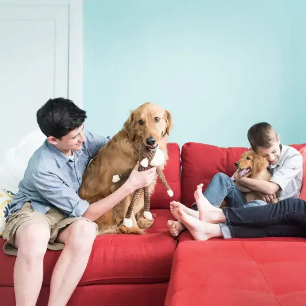 ZippyPaws - Venta al por mayor Peluche - Perros - Juguete para perros Spencer Crinkle Monkey, marrón, grande1