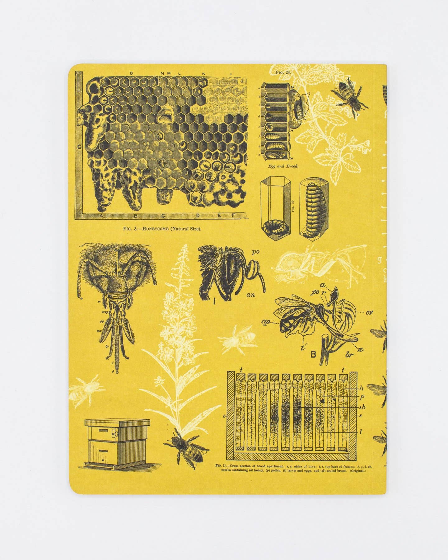 Cognitive Surplus - Venta al por mayor Cuadernos - Cuaderno de Tapa Blanda con Líneas de Abejas (Caja de 6)1