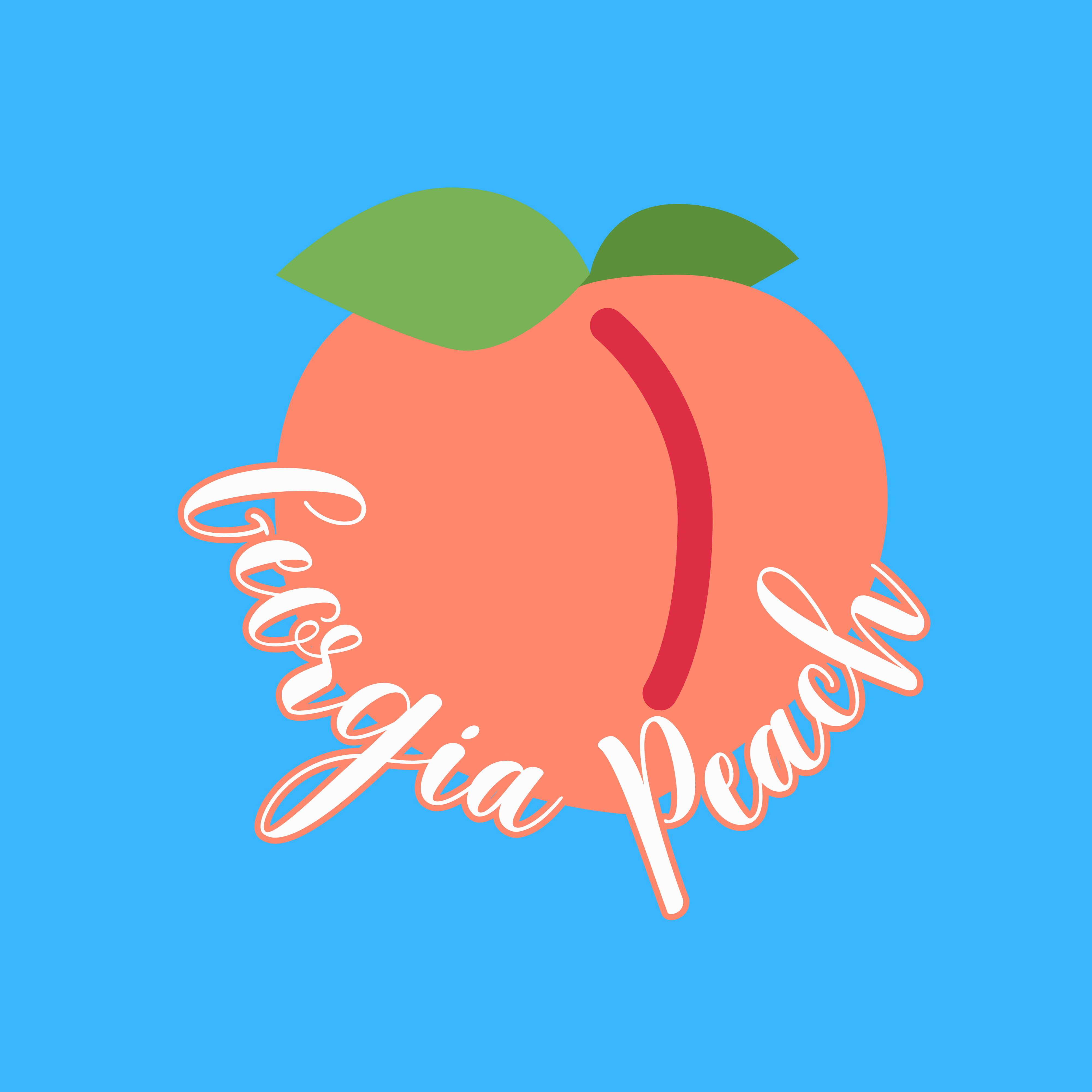 CSM - Wholesale Iced Tea - Loaded Tea Mixes (32oz Size)17