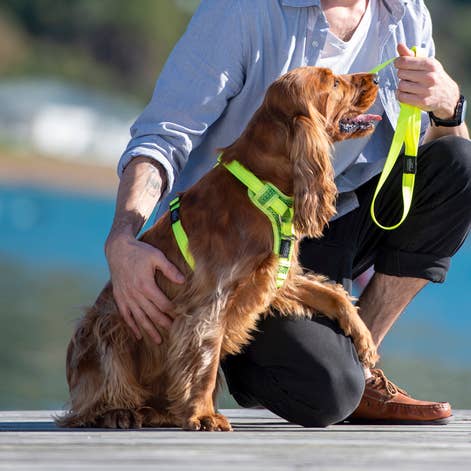 Control Harness X-Large for wholesale by Rogz USA